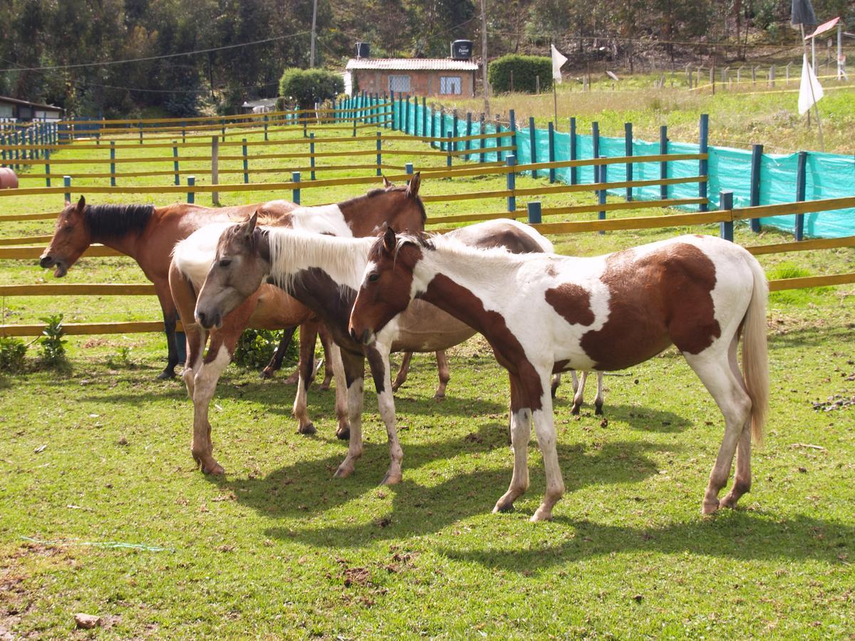 Hotel Rural La Esperanza Суэска Экстерьер фото